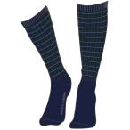 ミズノ MIZUNO レギュラーソックス2P ボーダー C2JX966191 グレーxネイビー ブレスサーモPLUS