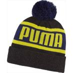 834032 プーマ （PUMA） ＰＵＭＡ　ワーディングビーニー ７３ＤＡＲＫ　ＧＲＡＹ　ＨＥＡ