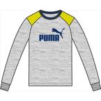 835623 プーマ （PUMA） ＦＤ　ＬＳ　ＴＥＥ ０５ＡＴＨＬＥＴＩＣ　ＧＲＡＹ