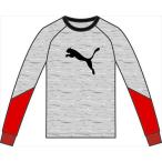 835625 プーマ （PUMA） ＦＤ　ＬＳ　ＴＥＥ ０３ＡＴＨＬＥＴＩＣ　ＧＲＡＹ