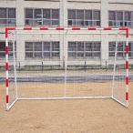 淡野製作所 DANNO D6600 ハンドボール 216(グリーン)