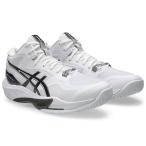  Asics волейбол обувь SKY ELITE FF MT4 Sky Elite FF MT4 1053A083-100