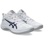  Asics баскетбол обувь GELHOOP V17 гель обруч V17 стандартный последний 1063A096-104