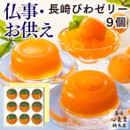 お供え お菓子 ゼリー 果物 ( 御供 四十九日 法事 お盆 のし 香典返し おそなえ 法事のお返し 粗供養 仏壇 仏事 品物 お返し 一周忌 ) すりおろし びわ 9個 TO1F