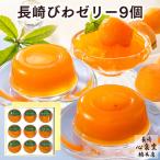 内祝 お祝い ギフト スイーツ びわ ゼリー ( 2025 お菓子 子供 フルーツ 誕生日 プレゼント のし 果物 高級 セット お取り寄せ グルメ ) すりおろし 9個入 TO95