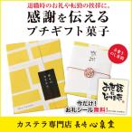 退職 お菓子 プチギフト ( 転勤 引っ越し 産休 育休 お礼 可愛い 個包装 小分け 職場 のし かわいい お世話になりました ギフト プレゼント ) カステラ TK20