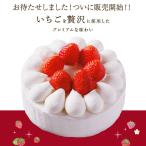 誕生日ケーキ バースデーケーキ 5号 15cm(4人〜6人) イチゴ 苺 ケーキ いちご ショートケーキ デコレーションケーキ 誕生日 ケーキ 2024 送料無料