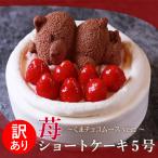 訳あり いちご ショートケーキ くま ケーキ 5号 15cm( 4名 〜6名) イチゴ 苺 いちご ケーキ デザート 訳あり スイーツ 食品 ご自宅用