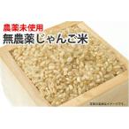 無農薬米・神代じゃんご米【玄米】1kg