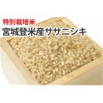 特別栽培米・宮城登米産ササニシキ【玄米】1kg