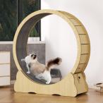  кошка колесо кошка беговая дорожка беличье колесо кошка кошка бег колесо кошка. to красный Mill. колесо кошка. беличье колесо кошка ролик для домашних животных to красный Mill кошка ..-