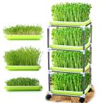 DIY семена ростки tray мояси культивирование контейнер мояси выращивание дом мояси культивирование мояси огород ростки культивирование 4 слой большая вместимость 