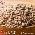 雑穀 雑穀米 国産 もち麦 27kg(450g×60袋) (翌日発送) 高品質 厳選 ダイシモチ 腸内環境 脂肪激減 ダイエット食品 置き換えダイエット 雑穀米本舗