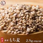 ショッピングもち麦 雑穀 雑穀米 国産 もち麦 2.7kg(450g×6袋) （翌日発送） 高品質 厳選 ダイシモチ 腸内環境 脂肪激減 ダイエット食品 置き換えダイエット 雑穀米本舗