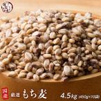 雑穀 雑穀米 国産 もち麦 4.5kg(450g×10袋) (翌日発送) 高品質 厳選 ダイシモチ ダイエット食品 置き換えダイエット 雑穀米本舗