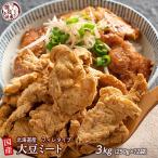 雑穀 雑穀米 国産 大豆ミート(フィレ) 3kg(250g×12袋) ポイント利用 畑のお肉 ビーガン ベジタリアン ダイエット食品 置き換えダイエット ソイミート