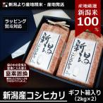 熨斗対応 内祝い お米ギフト 新潟産 コシヒカリ 4kg 2kg×2袋 令和7年度産  新潟米 産地直送 贈答用 箱入り 特産品 名物商品