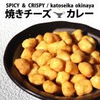 おかき あられ お菓子 焼きチーズカレー スパイシー おつまみ系 自慢の国産 新潟米 新潟 加藤製菓