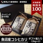 お米 ギフト 魚沼産 コシヒカリ 4kg 内祝い 2kg×2袋  令和5年度産 新潟米 産地直送 贈答用 箱入り 特産品 名物商品