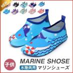  вода обувь морской обувь Kids Junior aqua обувь ребенок ребенок . развлечение река развлечение вода суша обе для для мужчин и женщин отдых . промежуток школа 