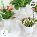 植木鉢 プランター おしゃれ 鉢植え 花 栽培 プレゼント ギフト 母の日 通販 かわいい ガーデニング クリア ホワイトモダン ベーシック