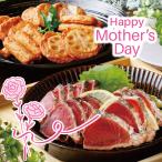 母の日 父の日 おつまみ 鹿児島ふるさとの味セット さつま揚げ かつおのたたき 400g タレ付 枕崎市かつお公社