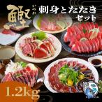 御中元 お中元 鰹刺身と鰹たたき1.2kgセット 高鮮度 戻り鰹刺身 ぶえん鰹 高鮮度鰹 ゆず風味炭焼・ガーリック 生姜1本