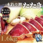 母の日 父の日 鹿児島枕崎かつお 一本釣りカツオたたき 【1.6kg】タレ2本付 送料無