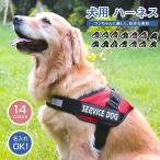 [ название inserting возможно ] бесплатная доставка собака Harness имя шлейка одиночный наименование товара inserting initial простой оборудован .. обивка предотвращение выпадение нет маленький размер собака средний собака большой собака симпатичный 