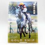 【中古・未使用品】ゴールドシップ ヒーロ