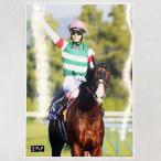 【中古】競馬ブック A4サイズ 写真 ナ