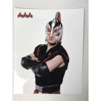 [ б/у ]SUGI портрет AAA примерно 20cm× примерно 25cm