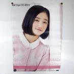 [ б/у ] постер Halo Pro Anne jurumB3