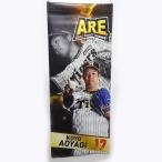 【中古】阪神タイガース 青柳晃洋 #17