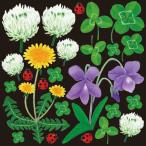 . включено период 25 год 12 месяц 09 день 13 часов до _P*O*P Pro daktsu украшение наклейка цветок 6372_ посылать за товар 