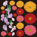 . включено период 25 год 12 месяц 09 день 13 часов до _P*O*P Pro daktsu украшение наклейка цветок 6374_ посылать за товар 