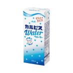 e рубин karupis вода 250ml 24шт.
