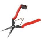 . включено период 25 год 12 месяц 08 день 13 часов до _a- Clan z цветок реальный .185mm K-10_ посылать за товар 