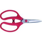 . включено период 25 год 12 месяц 08 день 13 часов до _a- Clan zf Lanvin 18 FL-18-BP_ посылать за товар 