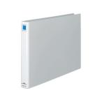 . включено период 25 год 12 месяц 26 день 09 часов до _kokyo камера файл < eko > серебряный A3 ширина . ширина 45mm