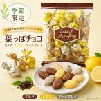 【数量限定】モンロワール リーフ�