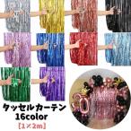 タッセルカーテン パーティーカーテン フリンジカーテン パーティーグッズ 壁装飾 飾り 撮影 イベント 誕生日 ハロウィン 飾り付け お祝い デコレー