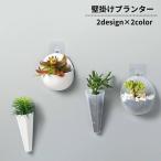  орнамент посадочная машина цветочный горшок Mini цветок pot суккулентное растение декоративное растение кактус бонсай гидропонная культура compact садоводство сопутствующие товары садоводство салон интерьер возможно 