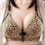 3/4カップブラ ブラジャー 単品 レディース 女性 インナー 下着 3列ホック ヒョウ柄 レオパード柄 おしゃれ かわいい 婦人下着