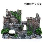  аквариум для произведение искусства аквариум оборудование орнамент товары для домашних животных домашнее животное товары .. дом аквариум расположение сопутствующие товары аквариум украшение старый замок . замок способ рыба тропическая рыба me Dakar .. место 