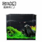 ミニ水槽 小型 小さめ 水槽 プラスチック水槽 アクアリウム ペット用品 魚 メダカ 金魚 熱帯魚 亀 飼育 鑑賞