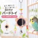  птица для игрушка зеркало зеркало подвешивание ниже модель bird игрушка длиннохвостый попугай игрушка игрушка игрушка развлечение инструмент ..... колокольчик имеется попугай .. маленькая птица слива type круглый sin