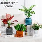 植木鉢 自動給水 プランター 室内栽培 貯水槽付き フラワーポット 観葉植物 水やり おしゃれ シンプル プラスチック 無地 クリア 花 ハーブ 多肉