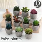 ショッピング多肉植物 フェイクグリーン 人工観葉植物 多肉植物 鉢植え ミニ 小型 卓上 机上 水やり不要 イミテーション インテリア 装飾用 おしゃれ