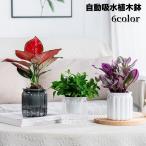 ショッピング植木鉢 植木鉢 自動給水 プランター 室内栽培 貯水槽付き フラワーポット 観葉植物 水やり おしゃれ シンプル プラスチック クリア 花 ハーブ 多肉植物